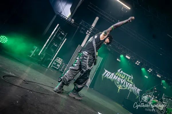 Singer bent forward, arm raised, band banner behind